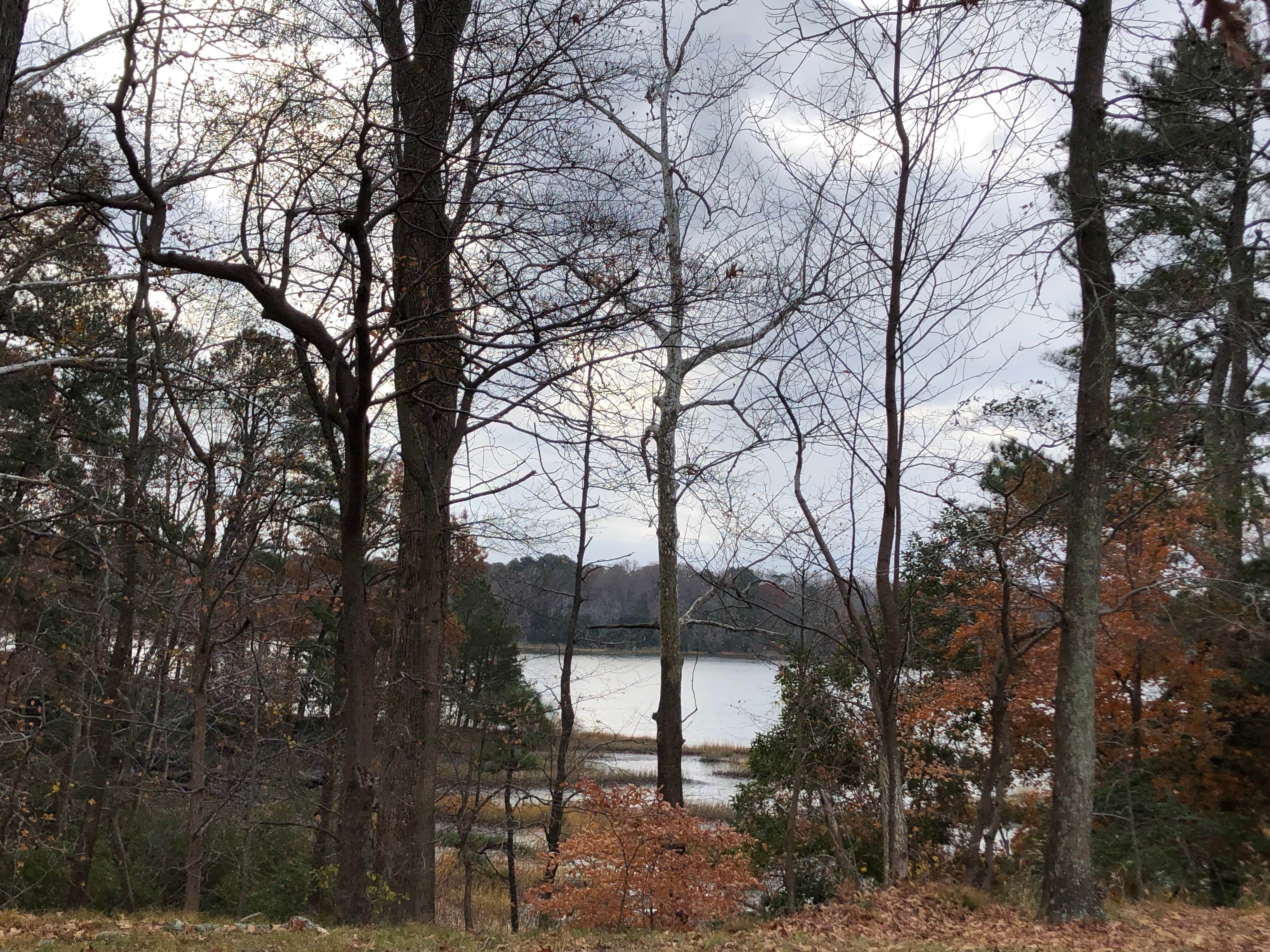 Camper-submitted photo at Kings Creek near Lanexa, VA