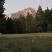 Review photo of Idyllwild Campground by Steffany  Q., July 9, 2018