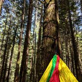 Review photo of US Highway 2 - Skykomish Area east to Stevens Pass by Karina J., July 9, 2018