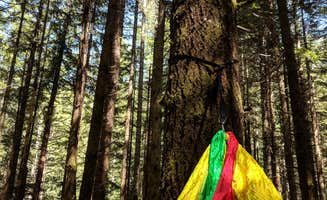 Karina J.'s photo at US Highway 2 - Skykomish Area east to Stevens Pass near Index, WA