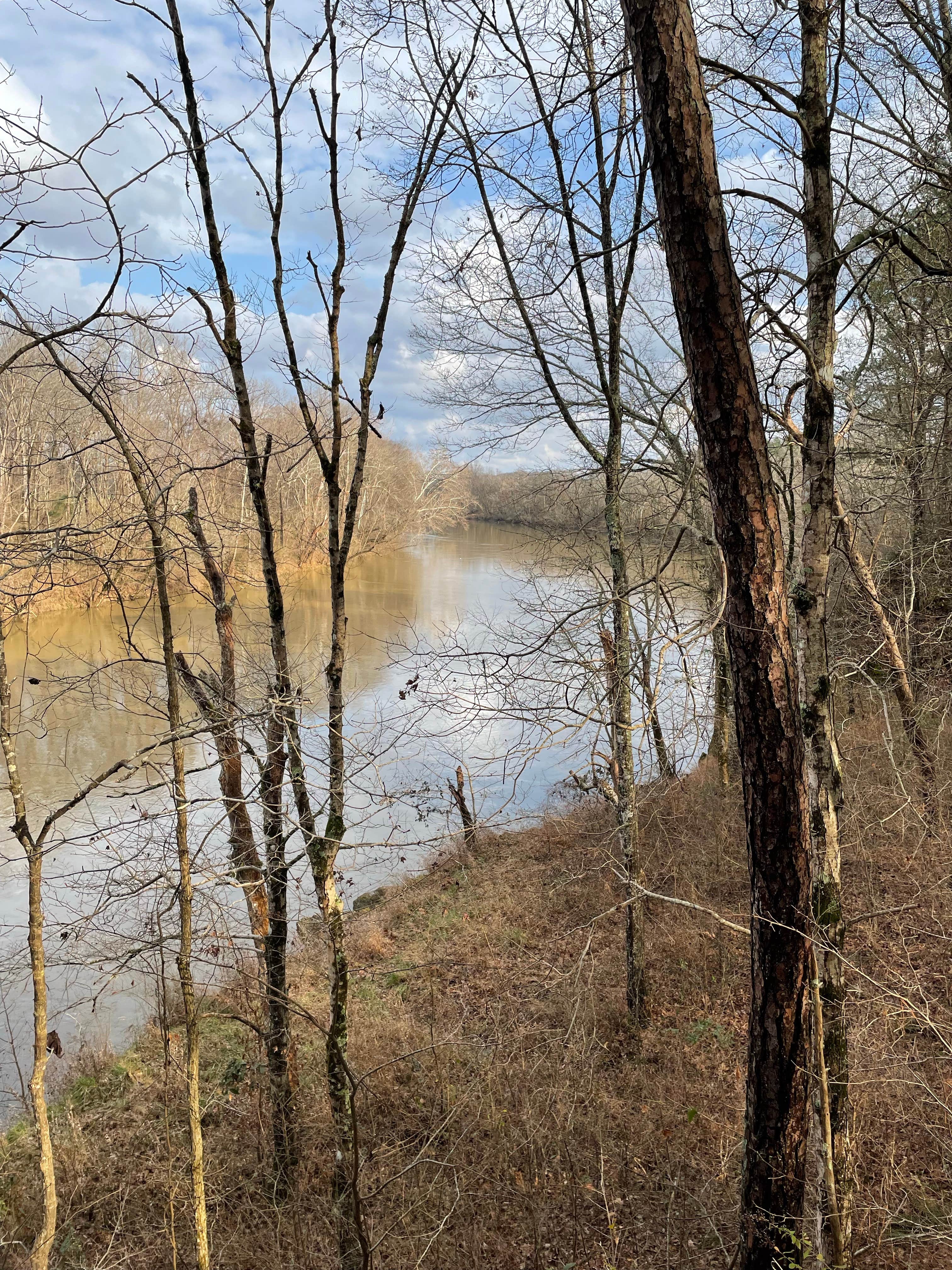 Camper submitted image from Coosa River Campground Rome-Floyd County Park and Nature Center - 1