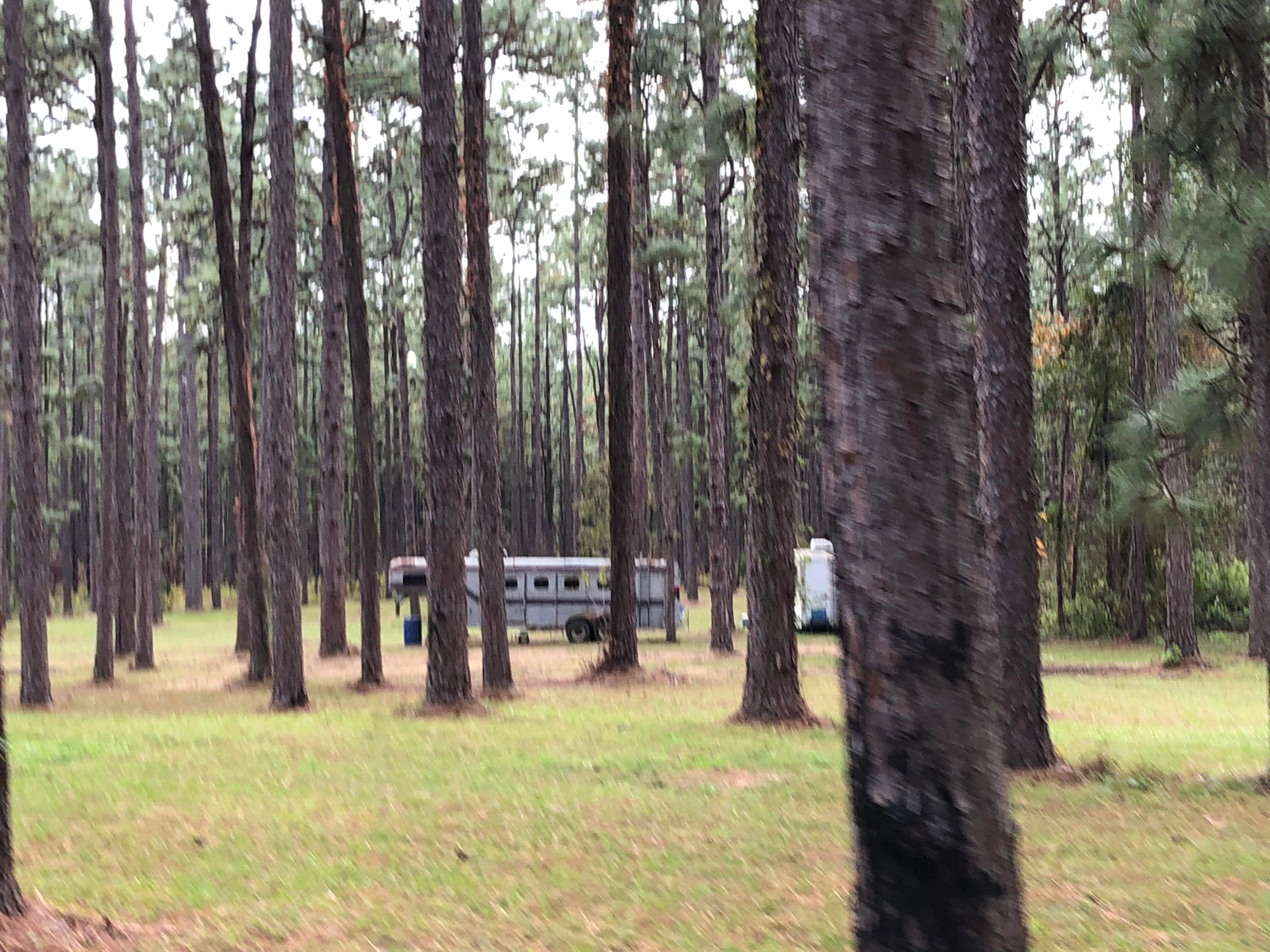 Camper-submitted photo at Ahtus Melder Camp near Elmer, LA