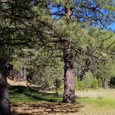 Review photo of Lassen Creek Campground by Crystal B., July 9, 2018