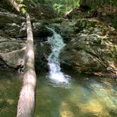 Review photo of Patapsco Valley State Park-Hilton Area by Simon S., January 1, 2022