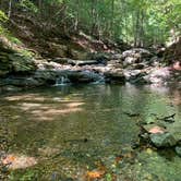 Review photo of Patapsco Valley State Park-Hilton Area by Simon S., January 1, 2022