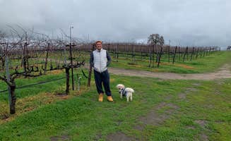 Jerome C.'s photo of camping with pets at Yanks RV Resort near Jolon, CA