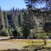 Review photo of Lassen Creek Campground by Crystal B., July 9, 2018