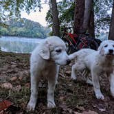 Review photo of Swains Lock Hiker-biker Overnight Campsite — Chesapeake and Ohio Canal National Historical Park by Shari  G., January 1, 2022