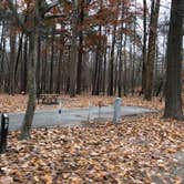 Review photo of Newport News Park by N I., January 1, 2022