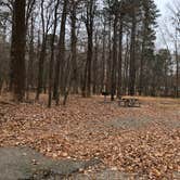 Review photo of Newport News Park by N I., January 1, 2022