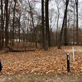 Review photo of Newport News Park by N I., January 1, 2022