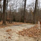 Review photo of Newport News Park by N I., January 1, 2022