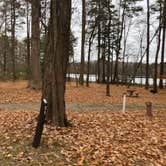 Review photo of Newport News Park by N I., January 1, 2022