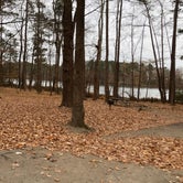 Review photo of Newport News Park by N I., January 1, 2022