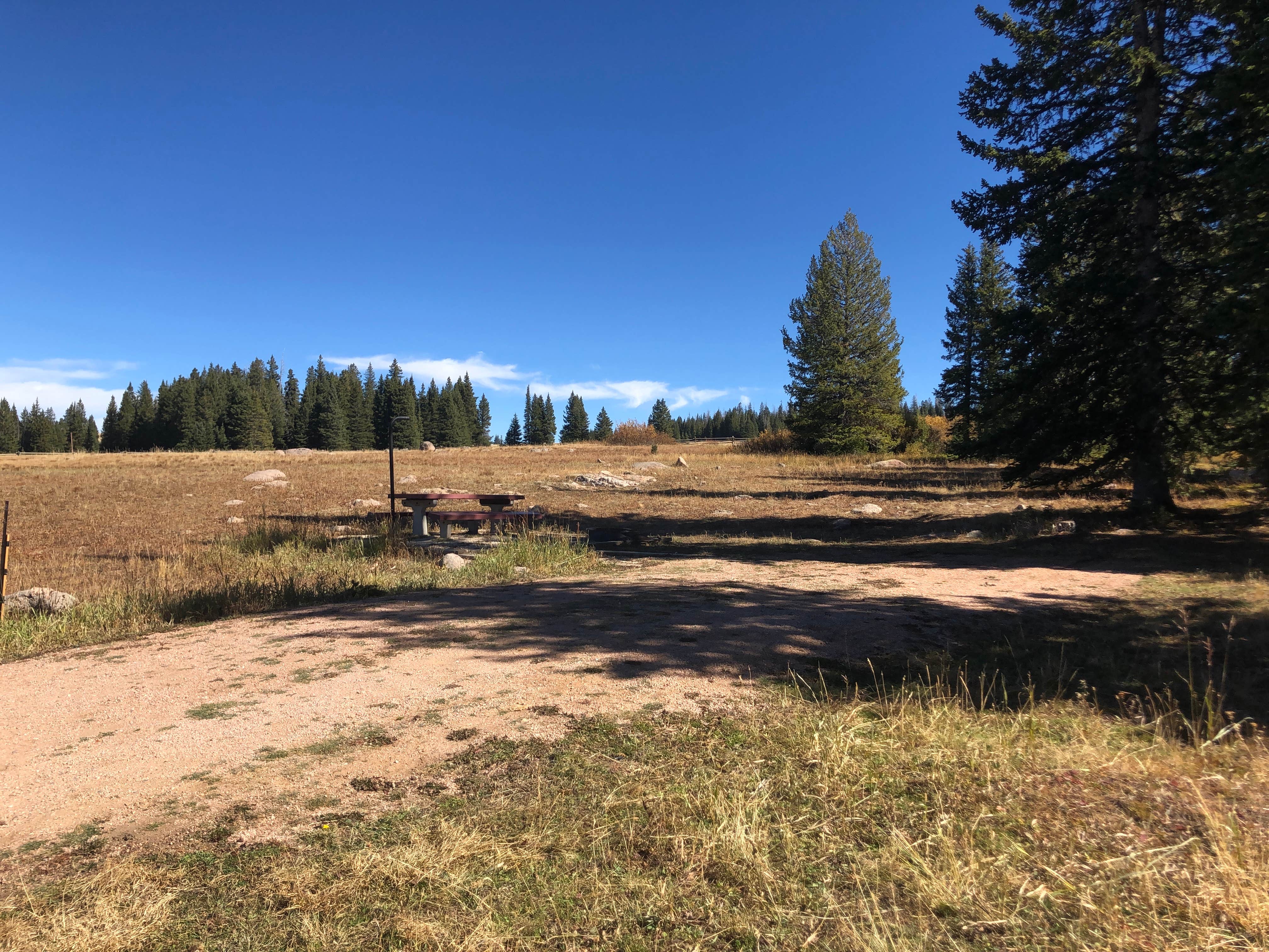 Camper-submitted photo at Bald Mountain Campground near Shell, WY