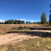 Review photo of Bald Mountain Campground by N I., December 31, 2021