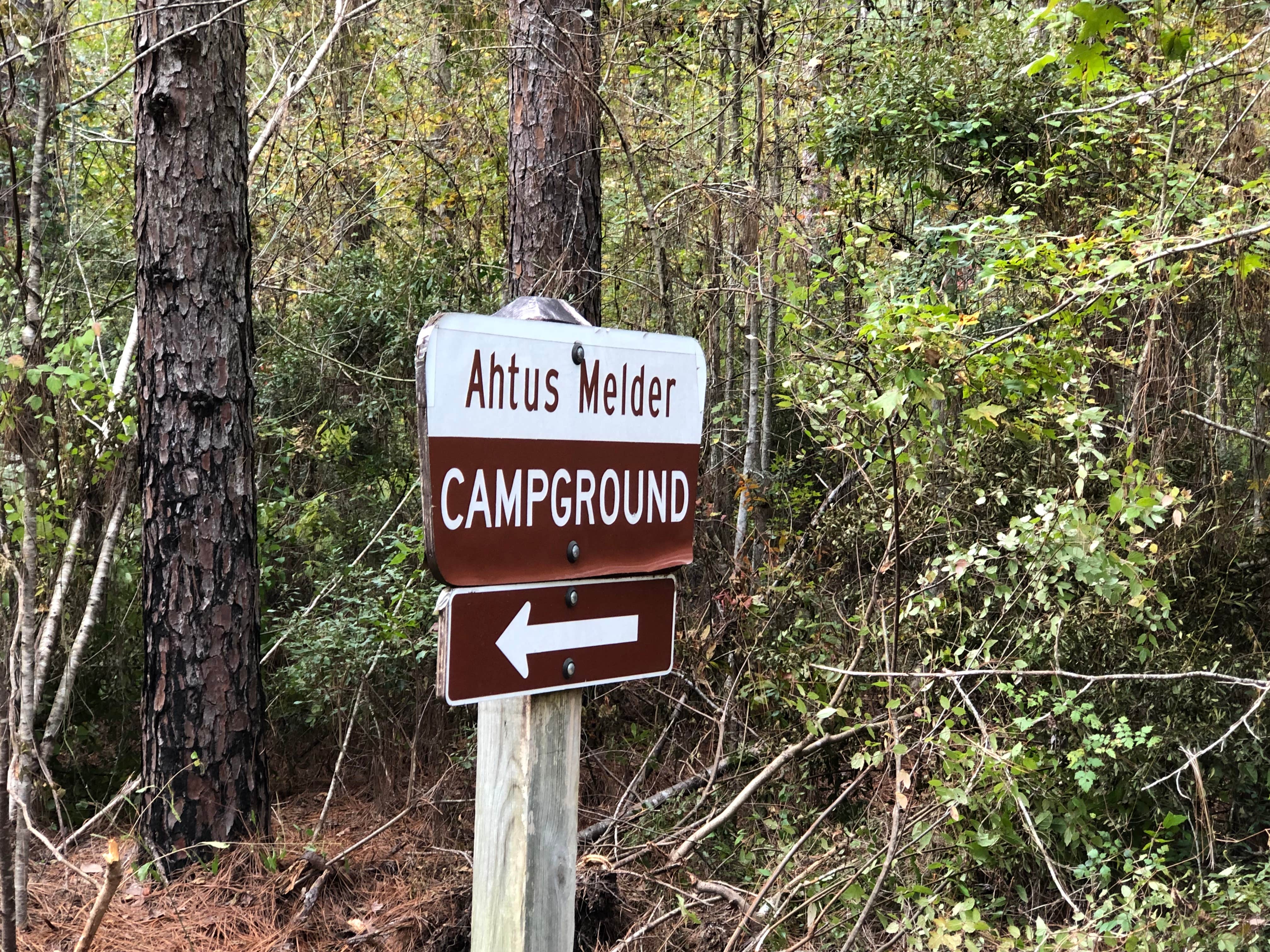 Camper-submitted photo at Ahtus Melder Camp near Elmer, LA