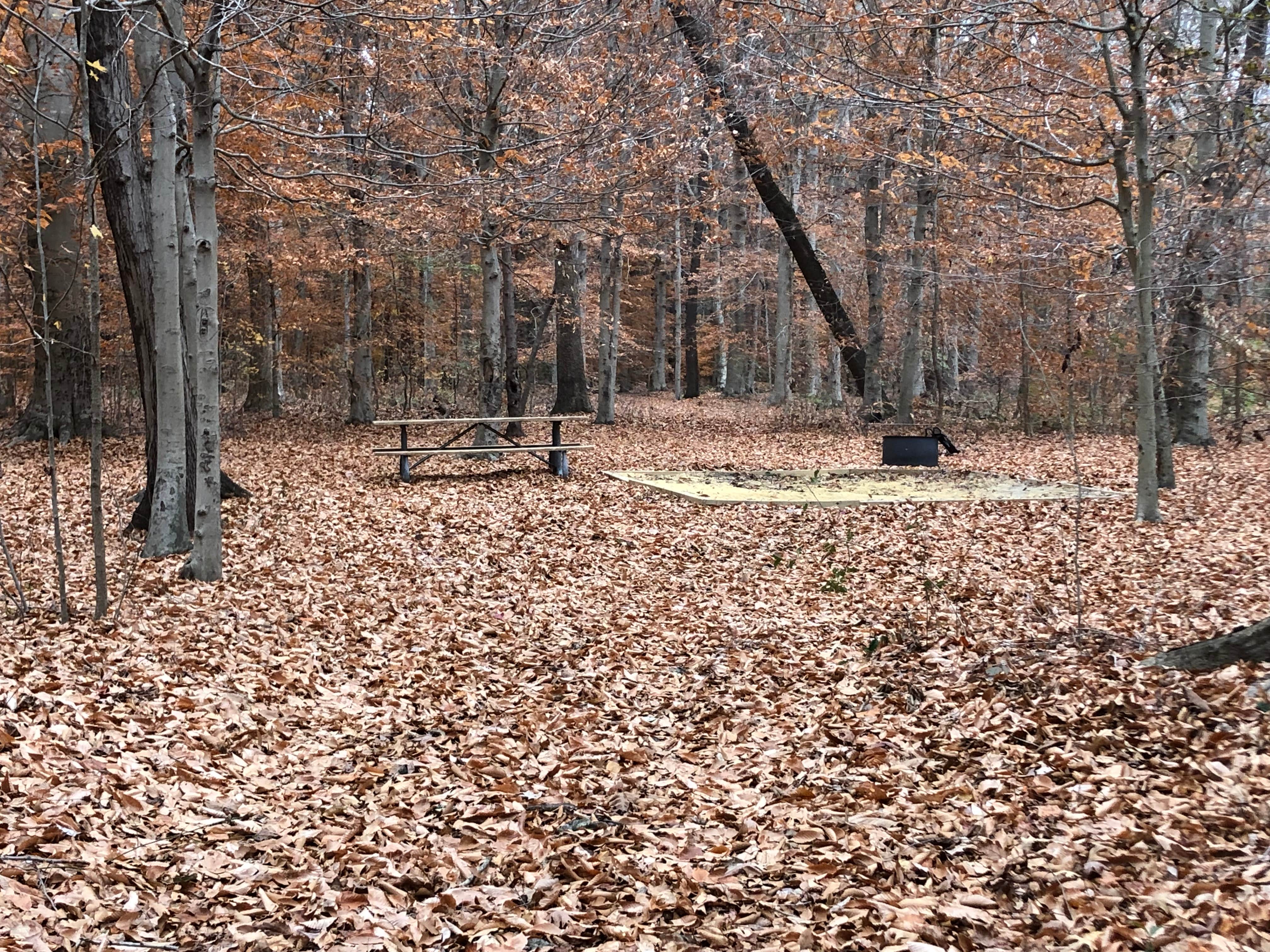 Camper submitted image from Sandy Bottom Nature Park - 3