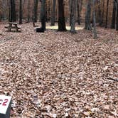 Review photo of Sandy Bottom Nature Park by N I., January 1, 2022