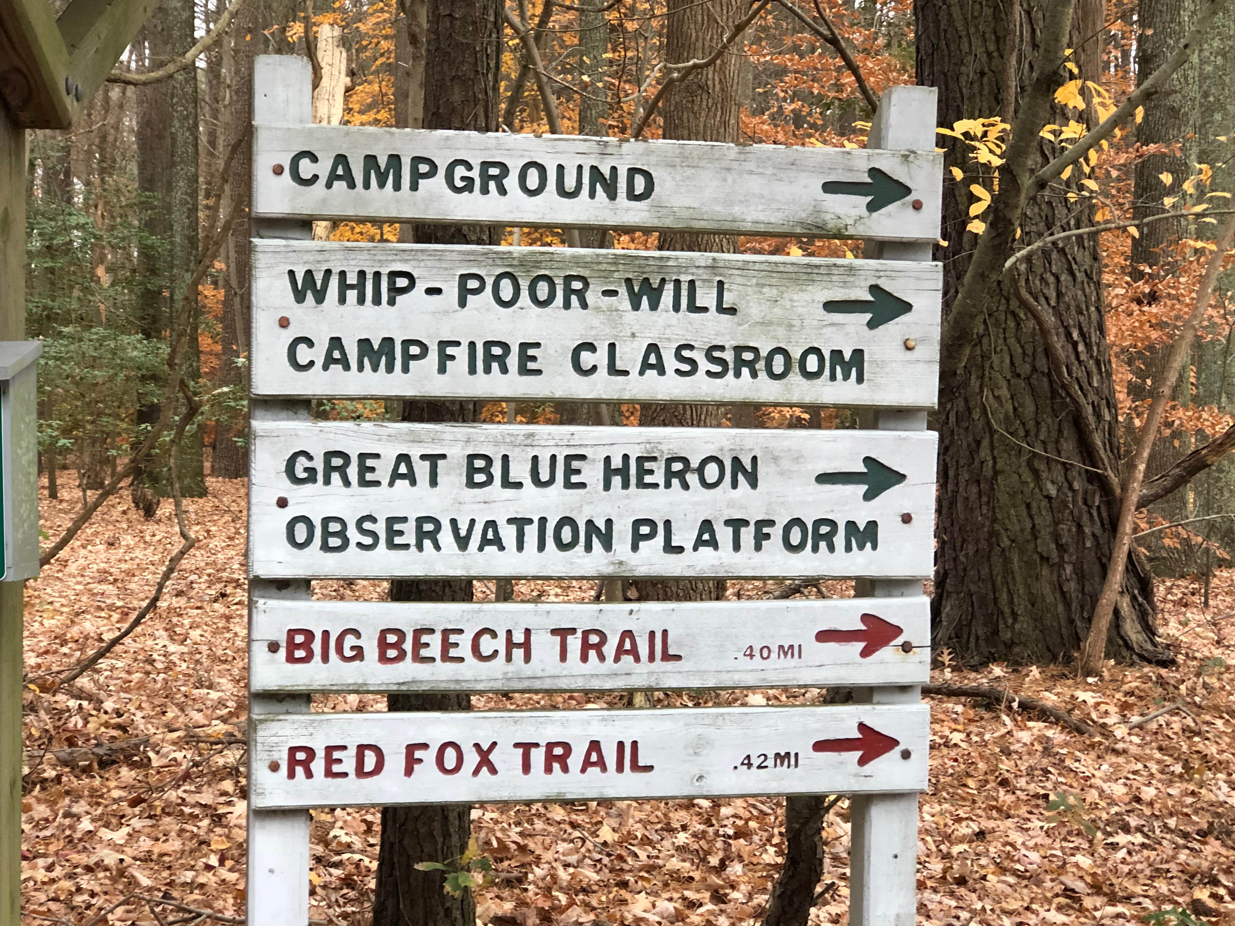 Camper-submitted photo at Sandy Bottom Nature Park near Newport News, VA