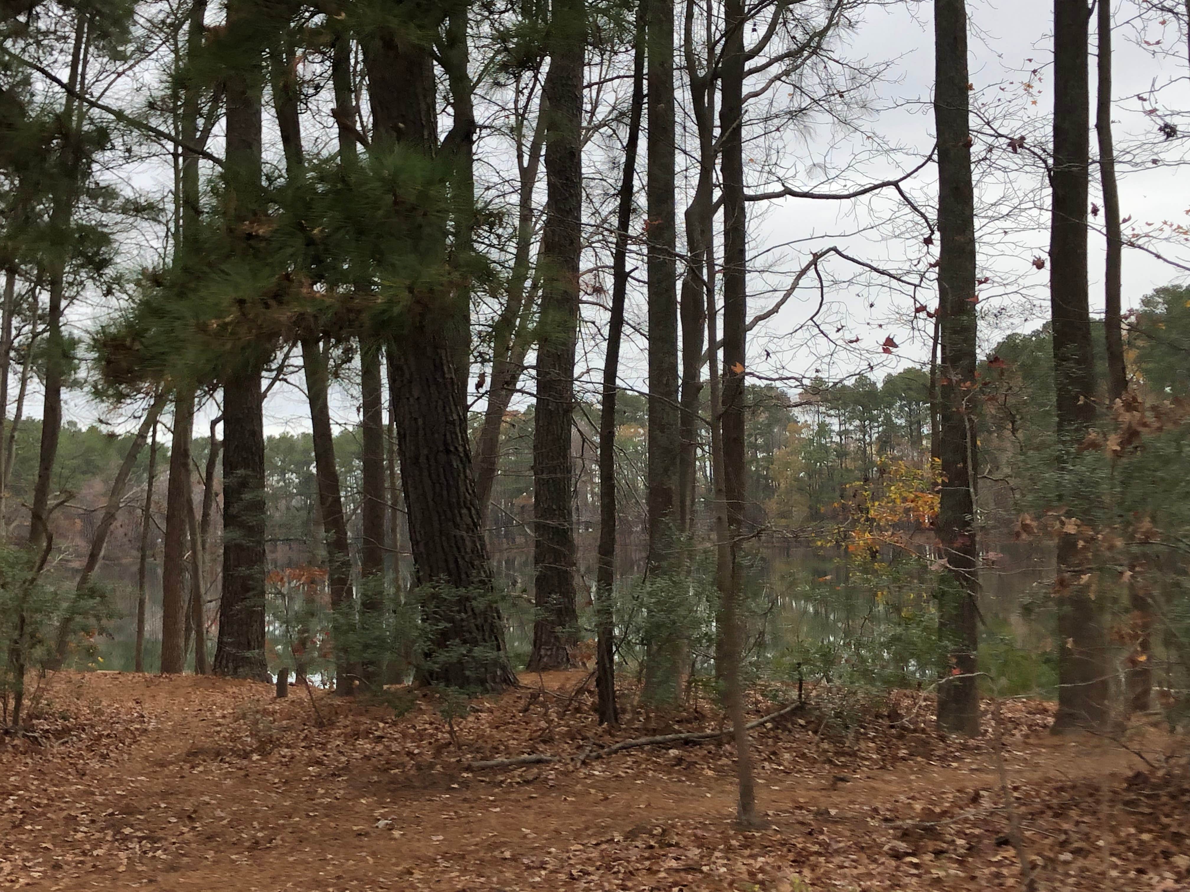 Camper-submitted photo at Sandy Bottom Nature Park near Newport News, VA