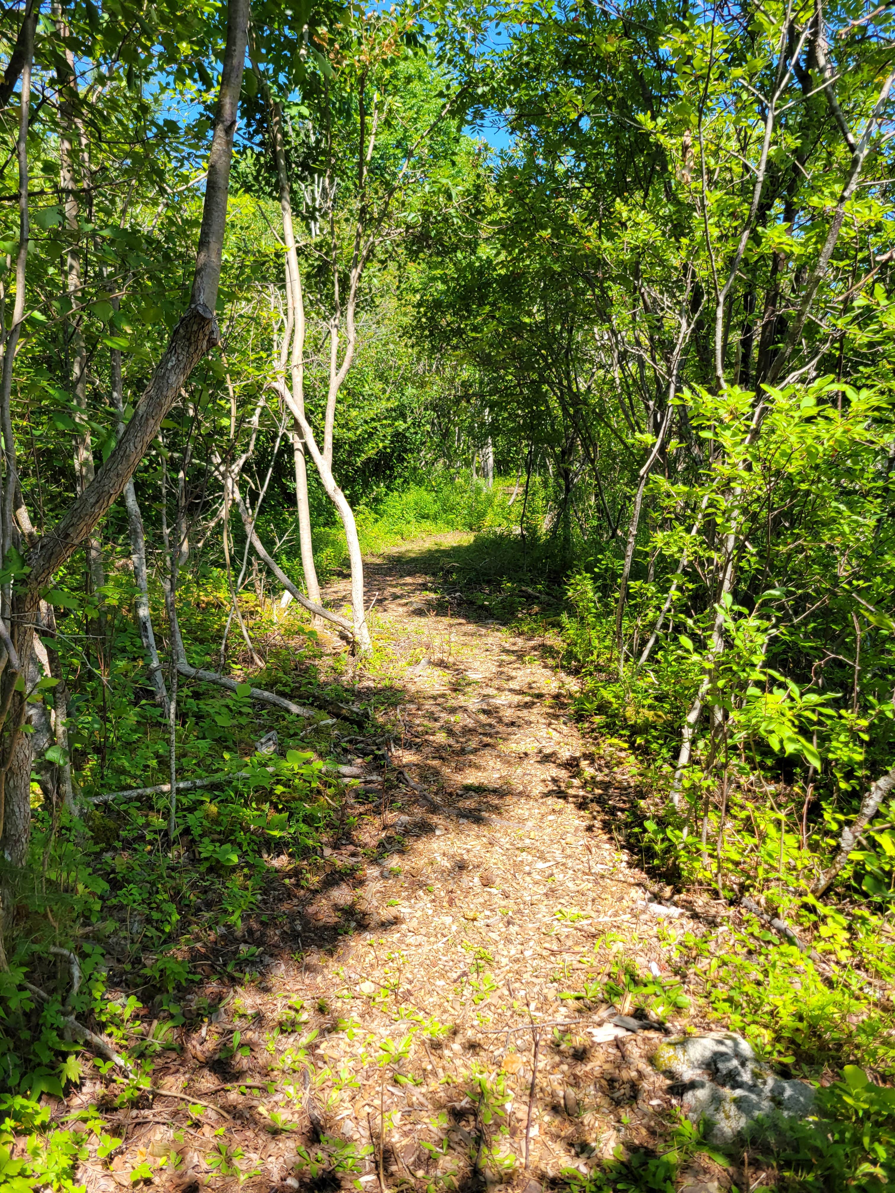 Camper submitted image from Huckins Beach and Trail - 4