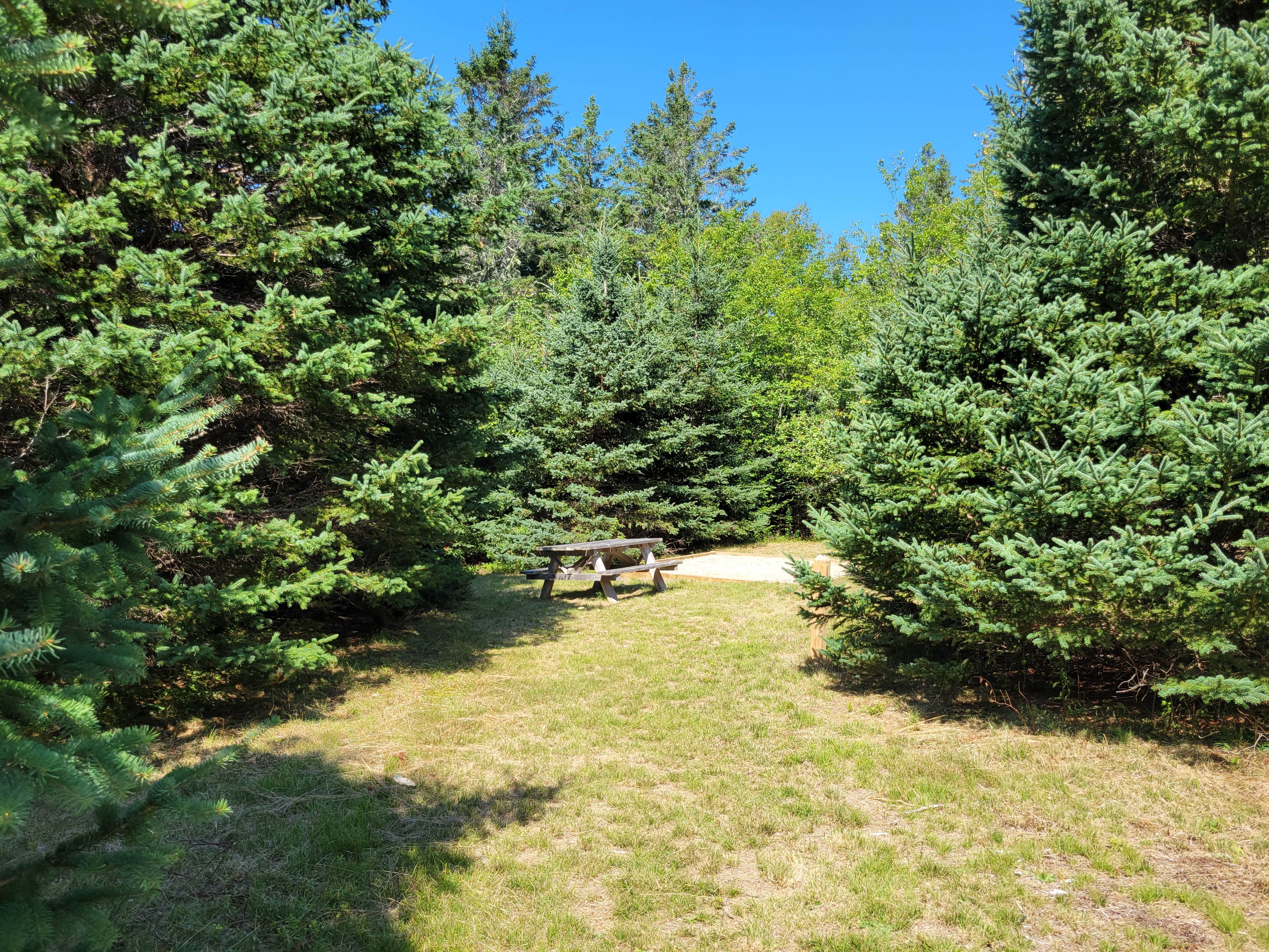 Camper-submitted photo at Huckins Beach and Trail near Eastport, ME