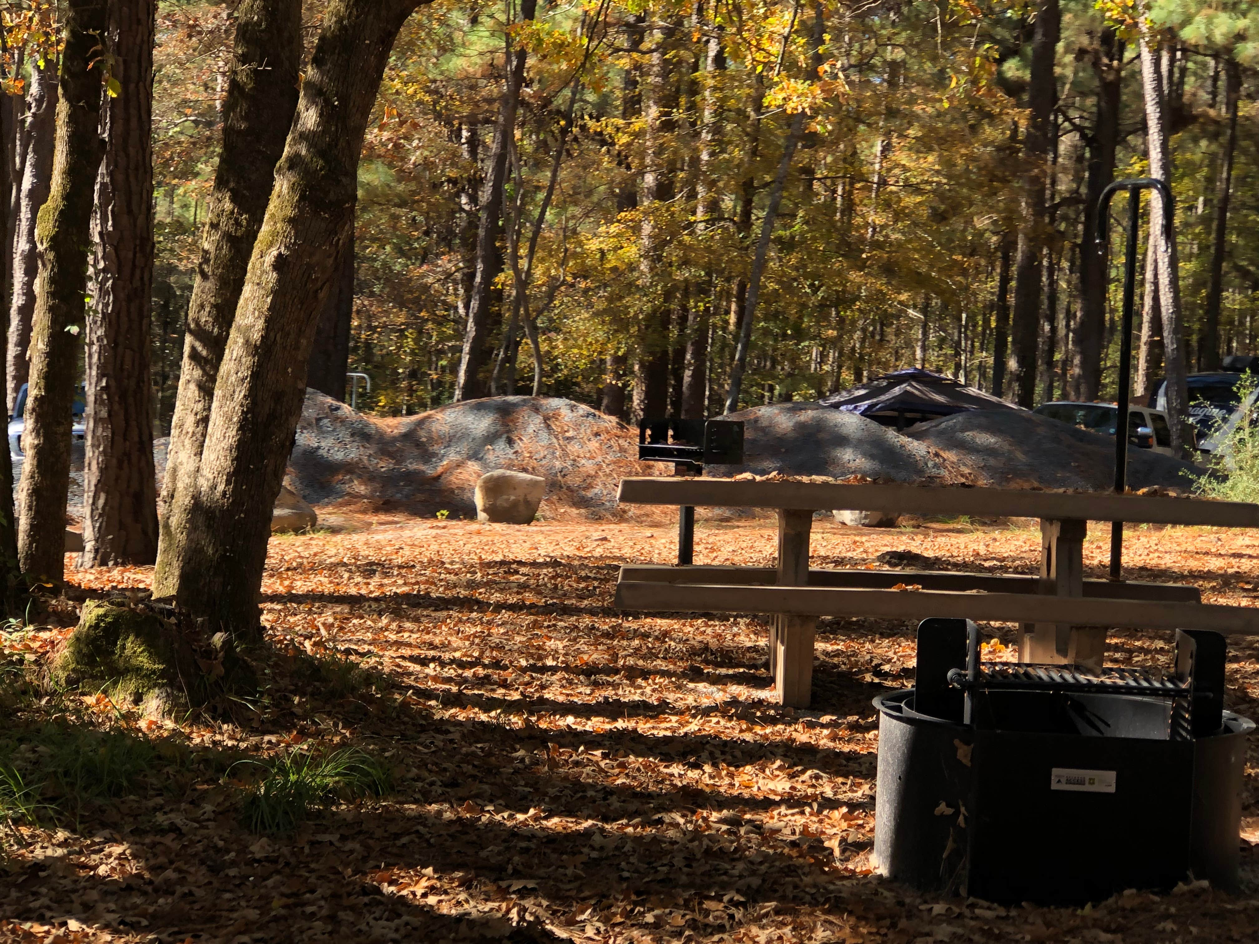 Camper-submitted photo at Lotus Camp near Natchitoches, LA