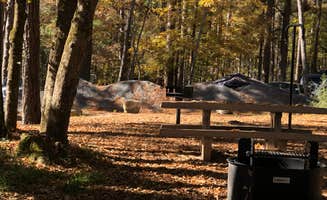 N I.'s photo at Lotus Camp near Gorum, LA