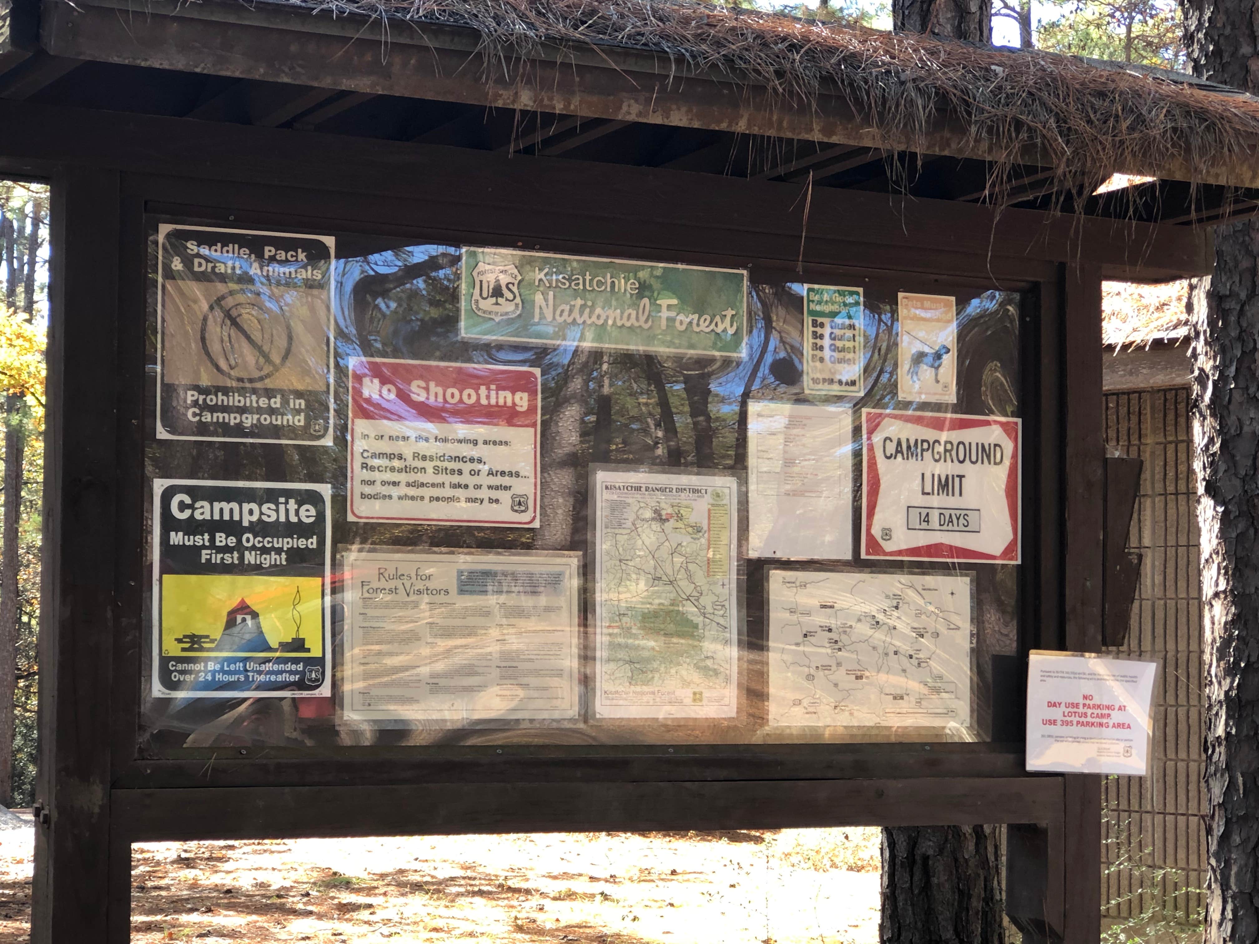 Camper-submitted photo at Lotus Camp near Natchitoches, LA