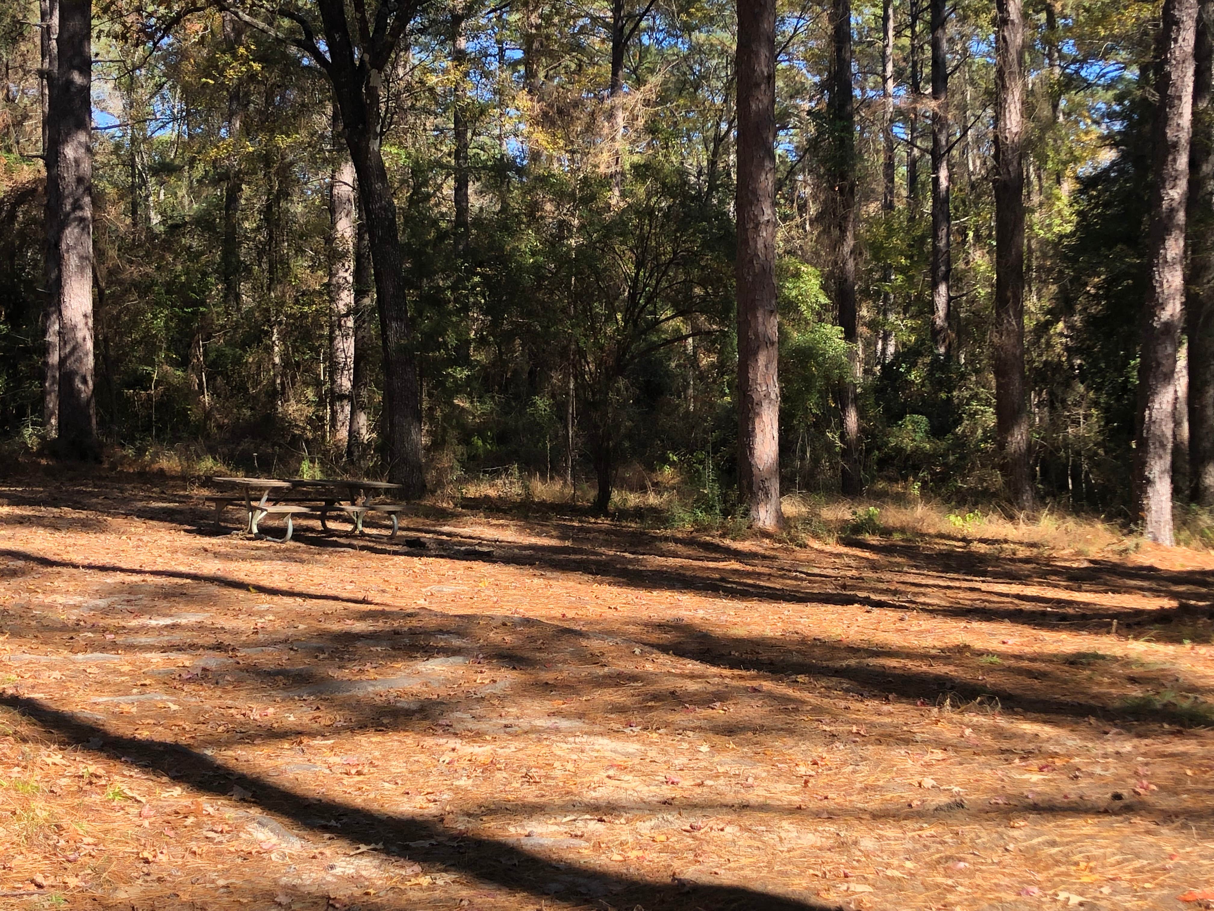 Camper-submitted photo at Lotus Camp near Natchitoches, LA