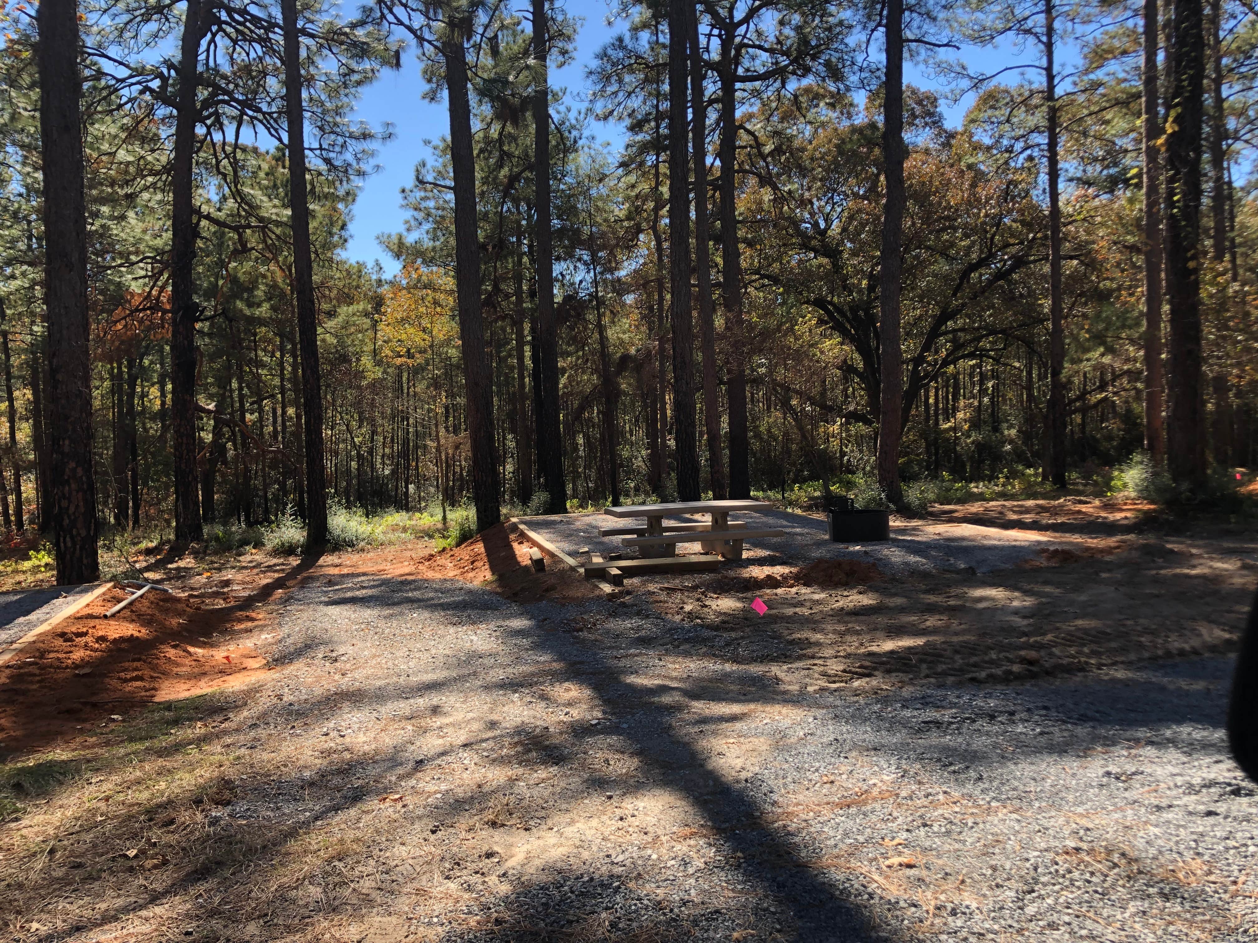 Camper submitted image from Lotus Camp - 3