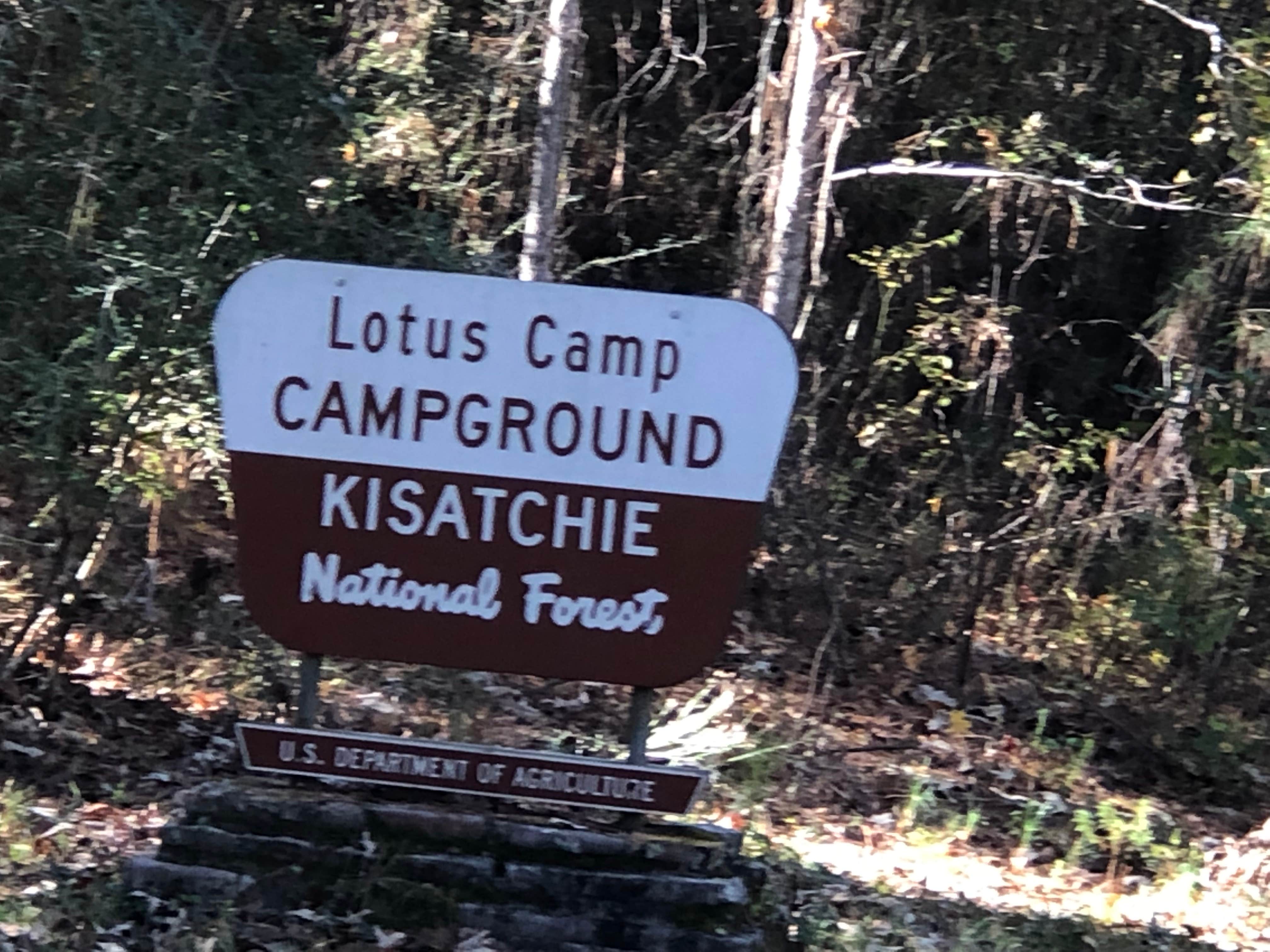 Camper-submitted photo at Lotus Camp near Elmer, LA