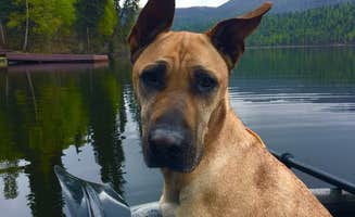 Sierra  S.'s photo of camping with pets at Byers Lake Campground near Talkeetna, AK