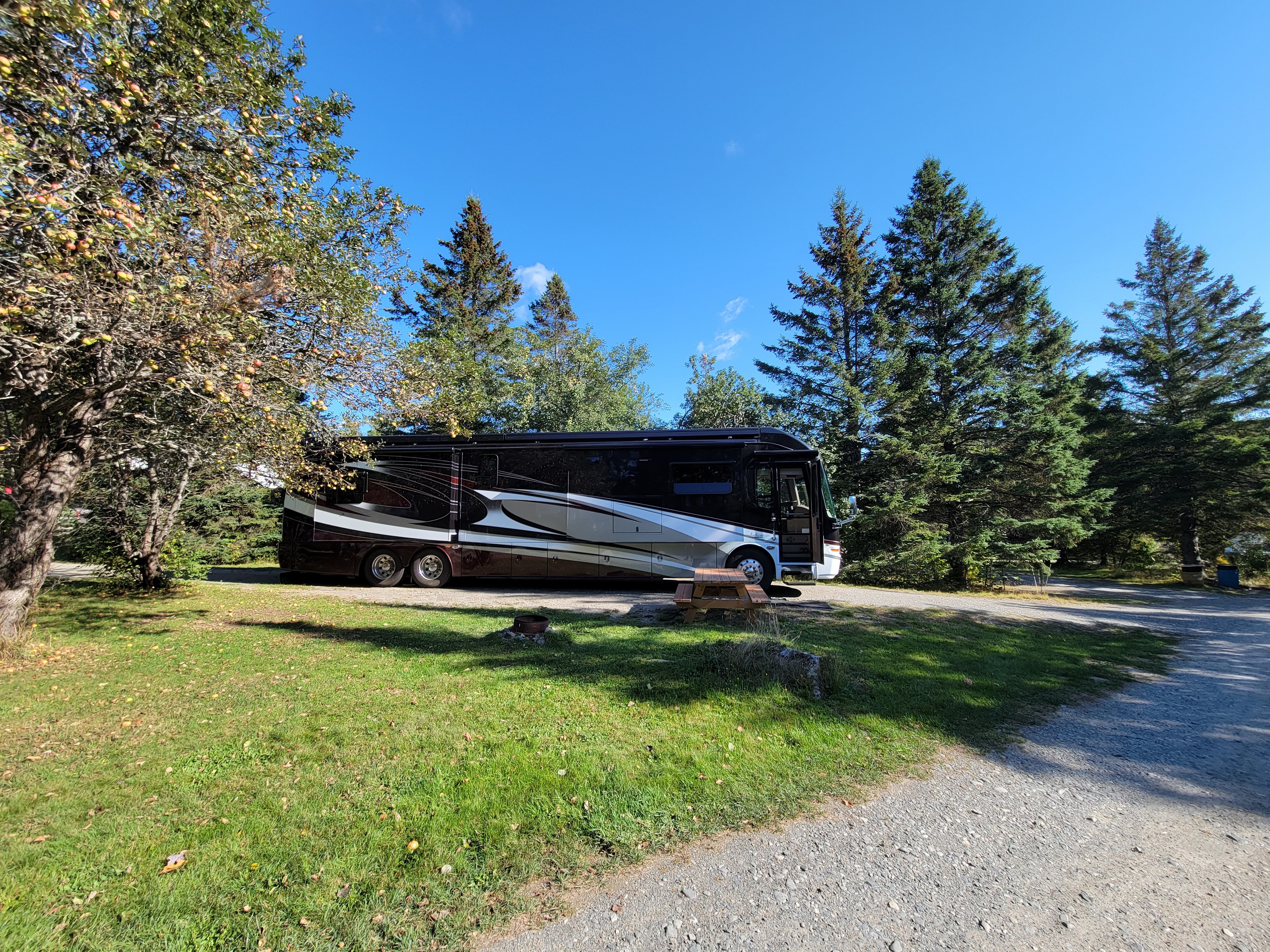 Camper submitted image from Moosehead Family Campground - 3