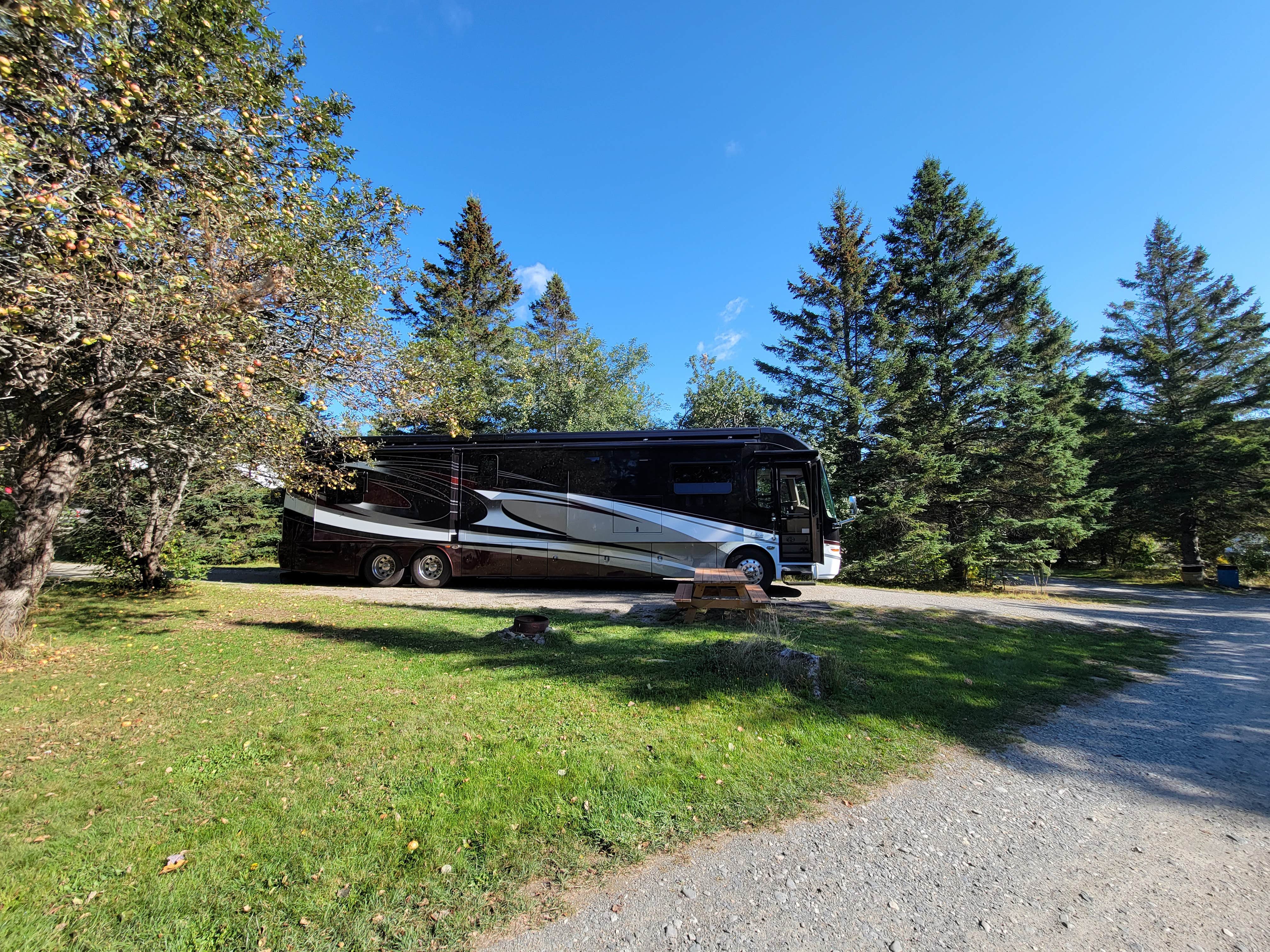 Camper submitted image from Moosehead Family Campground - 3