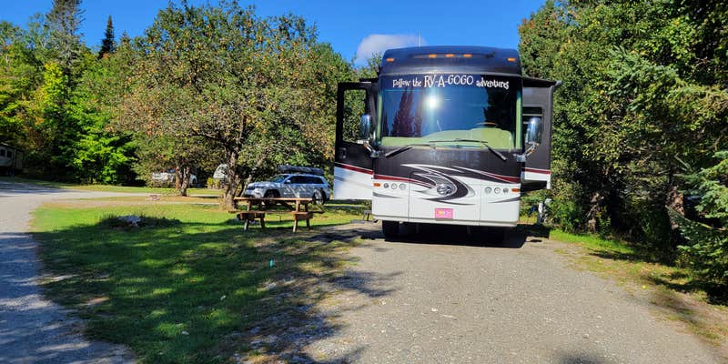 Camper submitted image from Moosehead Family Campground