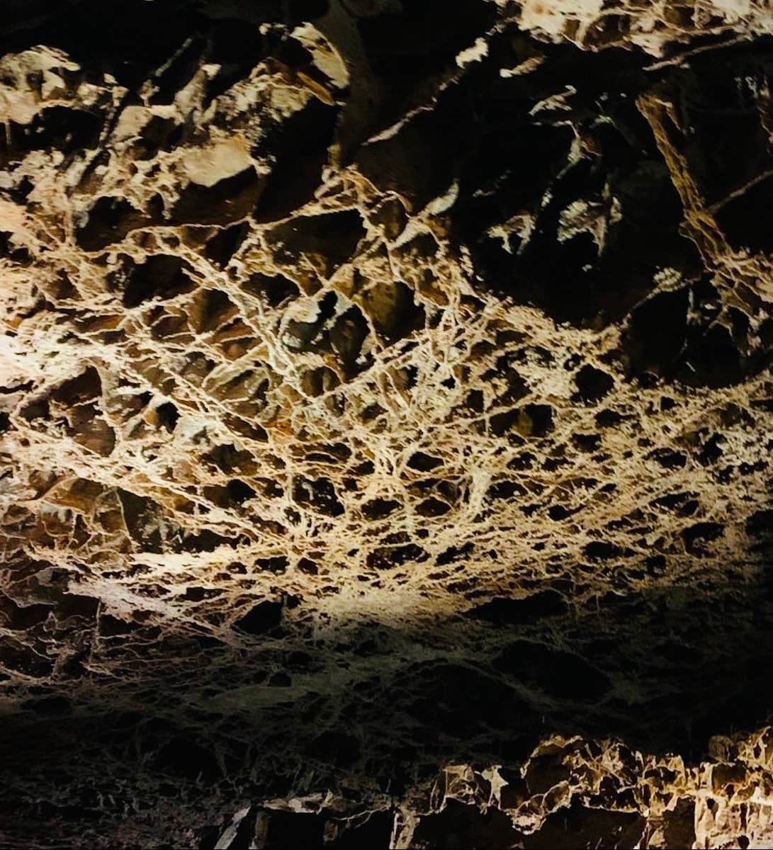 Camper-submitted photo at Rifle Pit near Fairburn, SD