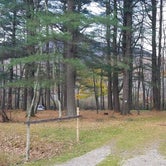 Review photo of Dorset RV Park by Nancy W., January 1, 2022