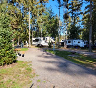 Camper-submitted photo from Acres Of Wildlife Family Campground