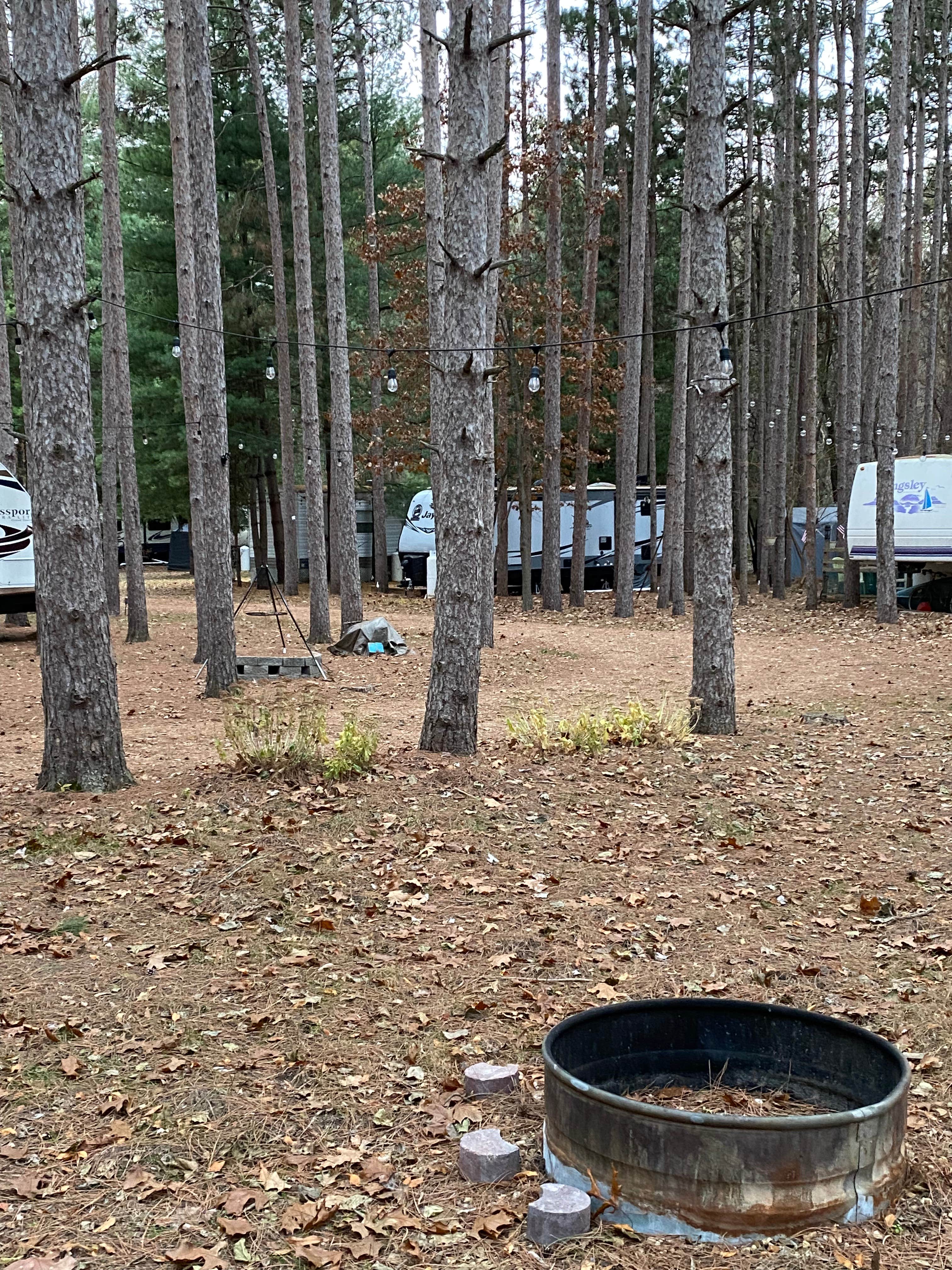 Camper submitted image from Pine View Campground - 5