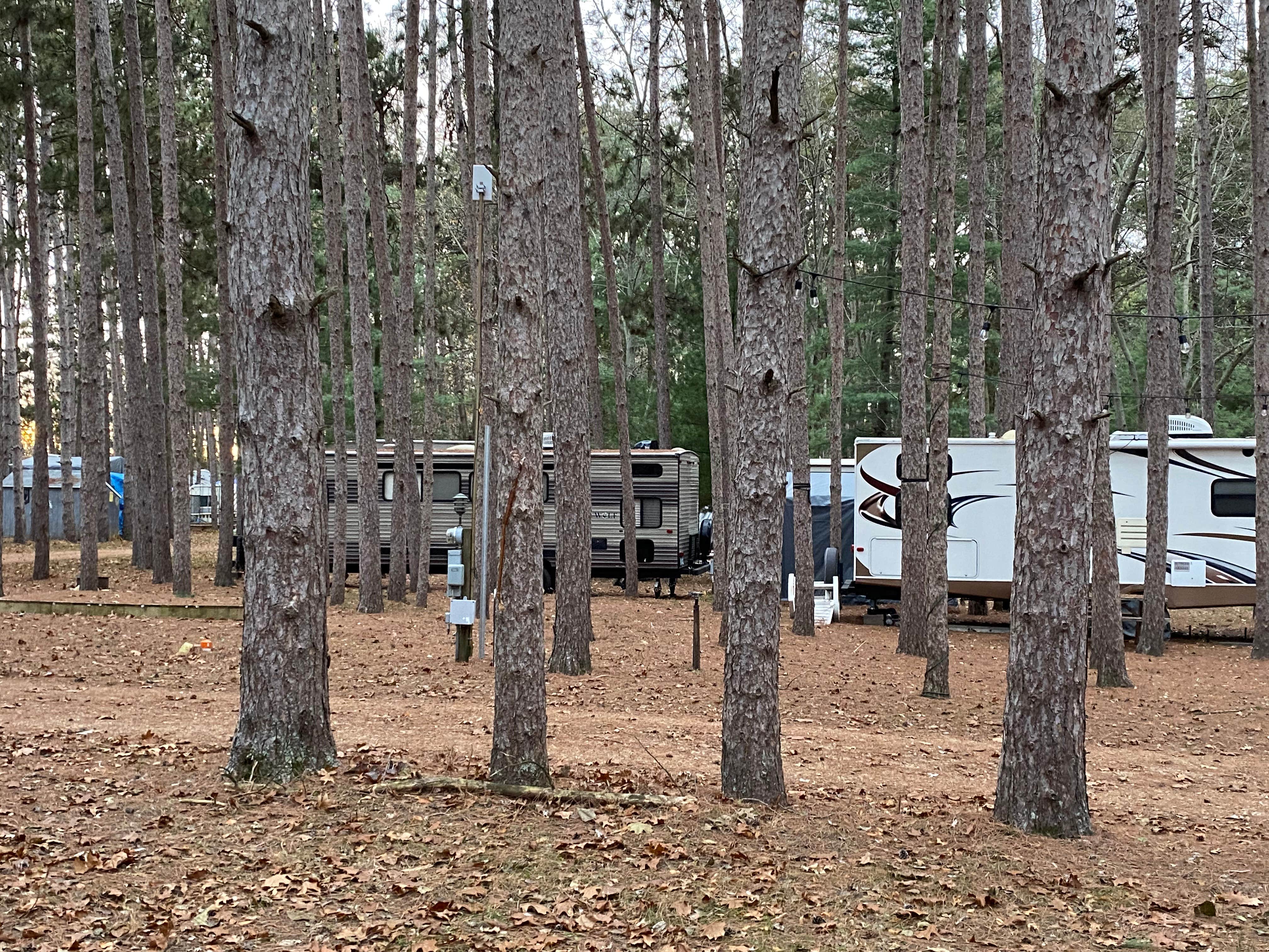 Camper submitted image from Pine View Campground - 3