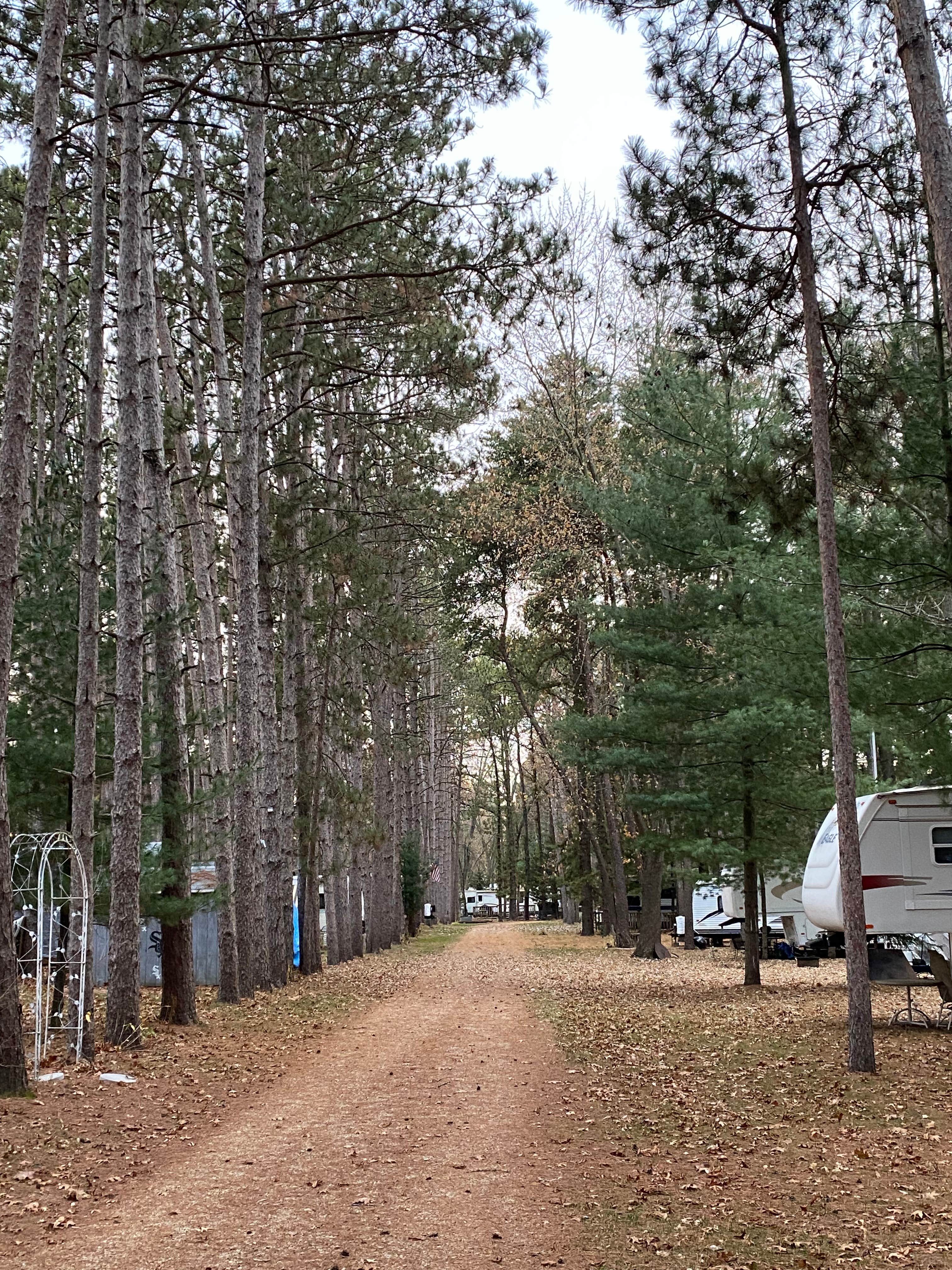 Stuart K.'s photo of rv camping at Pine View Campground near Nachusa, IL