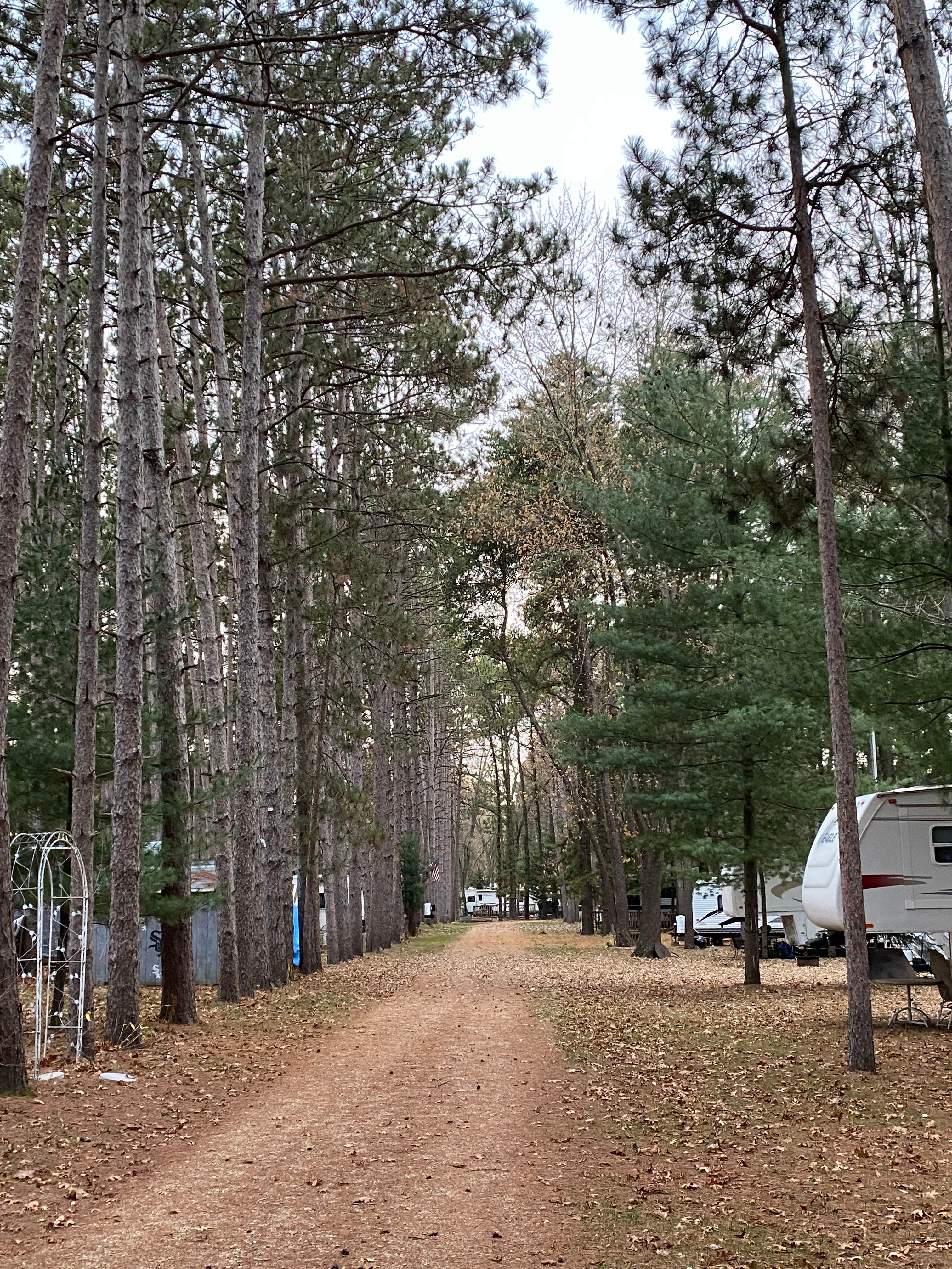 Camper submitted image from Pine View Campground - 4