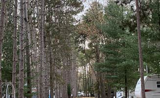 Stuart K.'s photo of rv camping at Pine View Campground near Nachusa, IL