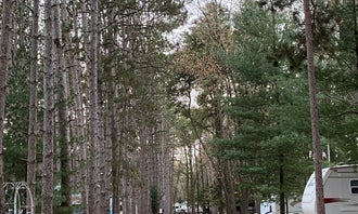 Pine View Campground
