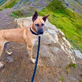 Review photo of Hatcher Pass Backcountry Sites by Sierra  S., July 9, 2018