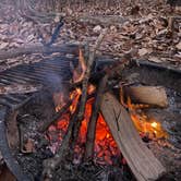 Review photo of Monte Sano State Park Campground by Asher K., January 1, 2022