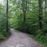 Review photo of Hickory Run State Park Campground by Shari  G., January 1, 2022