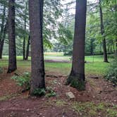 Review photo of Hickory Run State Park Campground by Shari  G., January 1, 2022